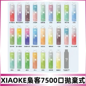 梟客XIAOKE|7500口可發光拋棄式電子煙 跑馬燈一次性